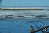 image of ice conditions at Lake Winnie