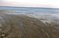 image of landing at bowstring lake