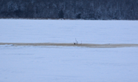 image of slush hole on Bowstring Lake