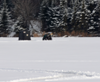 image of atv on ice 