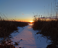 image of ice forming on lake