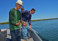 image travis krug landing walleye for Jacob 