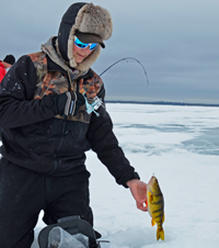 image of Billy Maki catching big perch