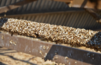 image of Zebra Mussels on Sand Lake boat lift