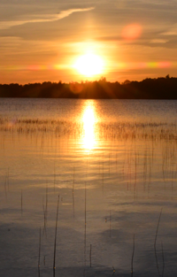 image of summer sunshine on warm day