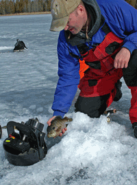 image of Robby Ott releasing Sunfish