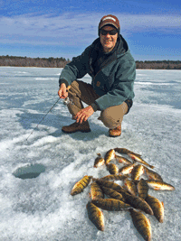 image of Tom Blanck with nice catch of Perch