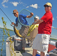 image of 3 fishermen smiling at fish in net