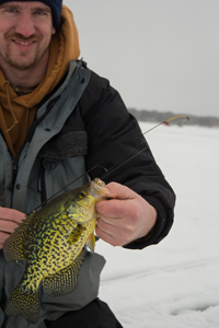 image of Matt Mattson holding big Crappie