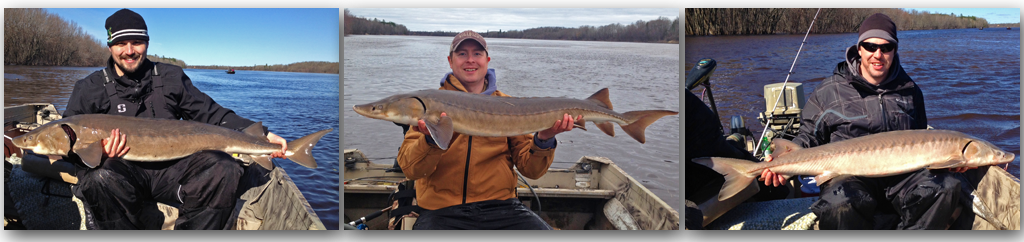 image of rainy river sturgeon