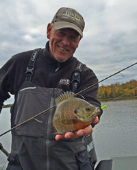 image of bluegill on ice worm