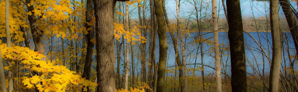 image of fall colors at sand lake