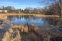 image of frozen pond near Mankato MN