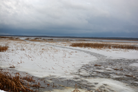 image of ice at White Oak Lake