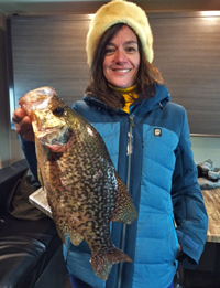 image of giant crappie 