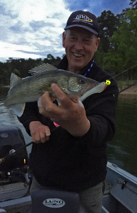 image of Lake Ouachita Walleye