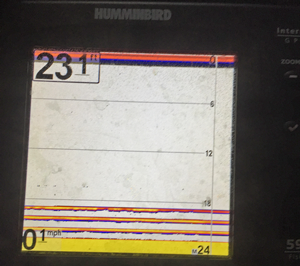 image of humminird showing crappies