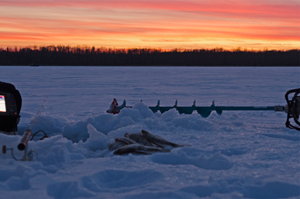 image of crappies on ice