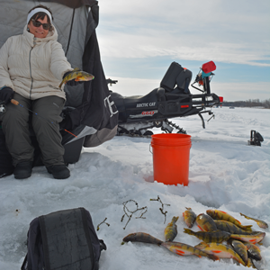 image of the hippie chick with lots of perch