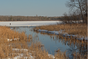 image of flowing stream