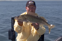 image links to walleye fishing video