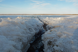 image of ice conditions at grand rapids