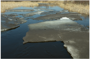 image of ice conditions at deer river