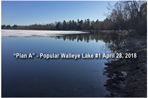 image of open water along shoreline