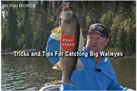 image links to walleye fishing video