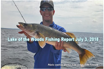 image of big walleye caught on lake of the woods