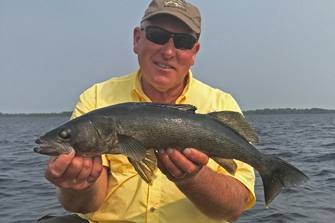 image of rainy lake walleye