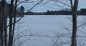 image of ice on hale lake grand rapids