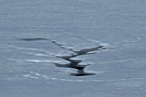 image of sink hole in ice