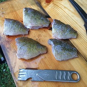 image of scaled bluegills