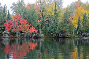 image of fall colors