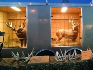 image of Steve Porter's Trophy Whitetails