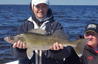 image of big walleye