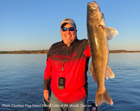 image of huge walleye