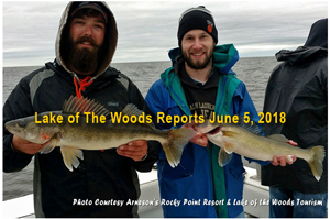 image of walleyes on lake of the woods
