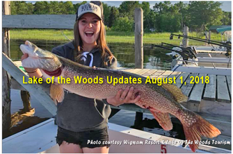 image links to lake of the woods fishing report