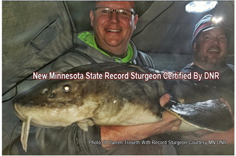 image of Darren Torseth with mn state record sturgeon