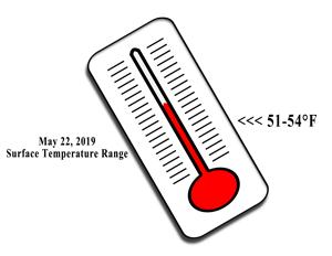 image of surface temperature thermoter