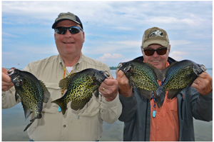 image of Paul Kautza and dick Williams holding big crappies