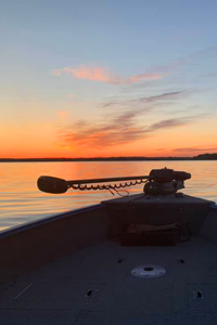 image of surise over swan lake 