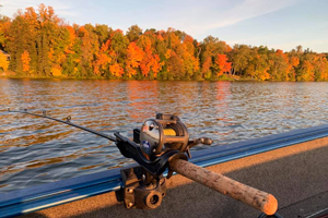 image of fall colors