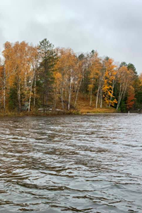 image of fall color