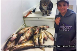 image of kid with lots of walleyes