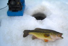 Bass on the ice 2-7-10