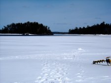 Ice Fishing Rainy Lake