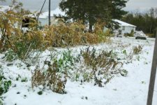 Minnesota Fall Snow Storm